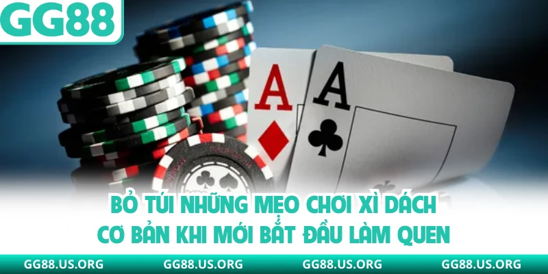 Bỏ túi những mẹo chơi xì dách cơ bản khi mới bắt đầu làm quen