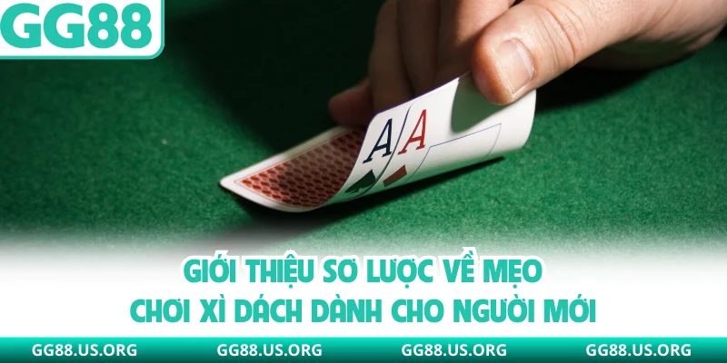 Giới thiệu sơ lược về mẹo chơi xì dách dành cho người mới