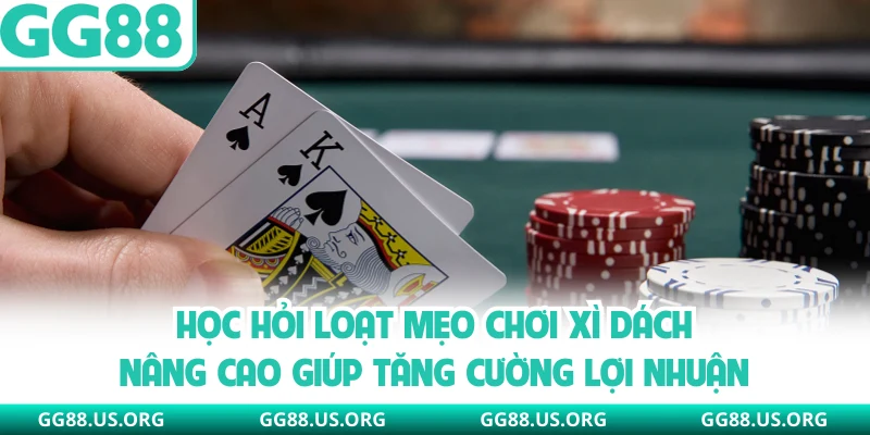 Học hỏi loạt mẹo chơi xì dách nâng cao giúp tăng cường lợi nhuận