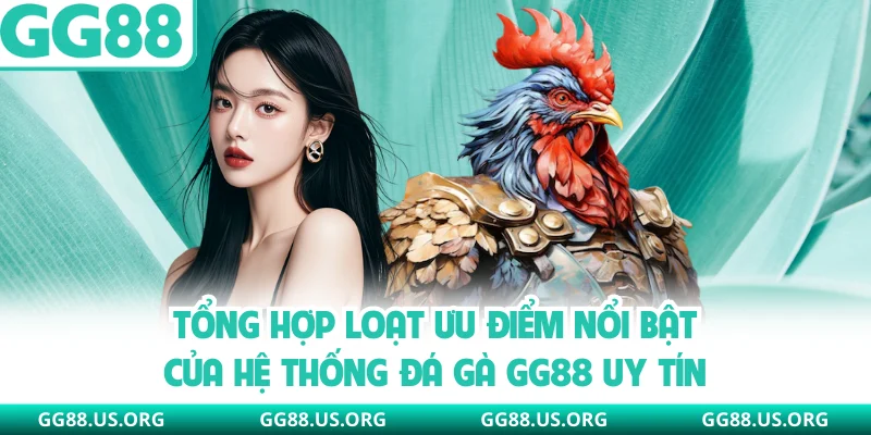 Tổng hợp loạt ưu điểm nổi bật của hệ thống đá gà GG88 uy tín